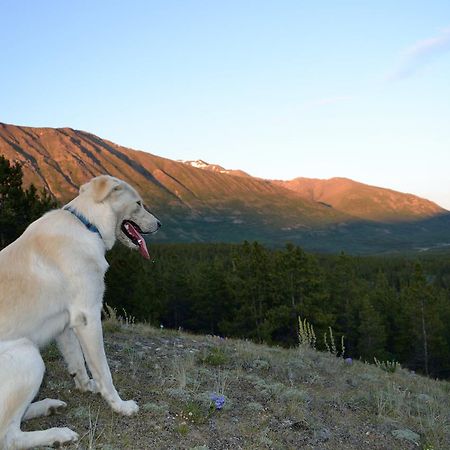 Spirit Lake Lodgeホワイトホース エクステリア 写真