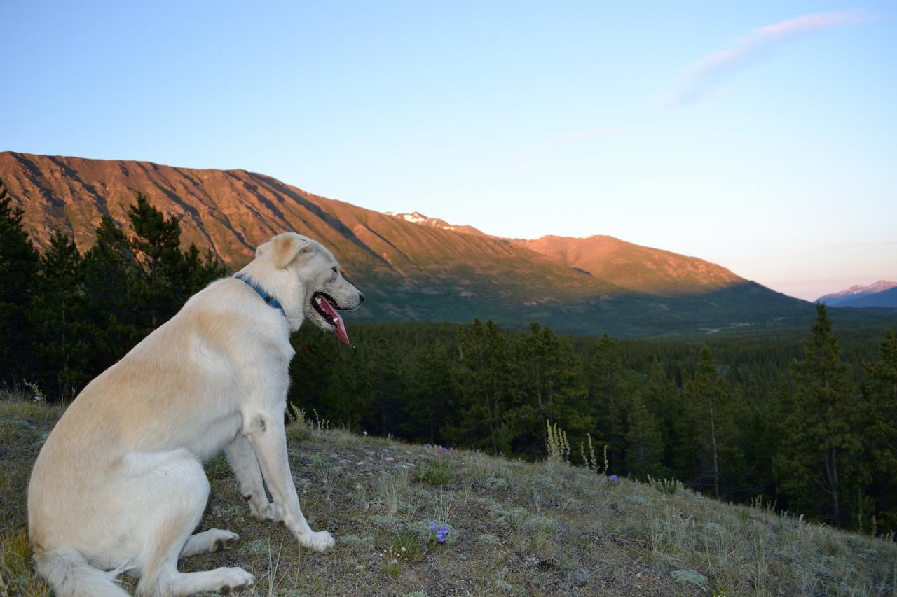 Spirit Lake Lodgeホワイトホース エクステリア 写真